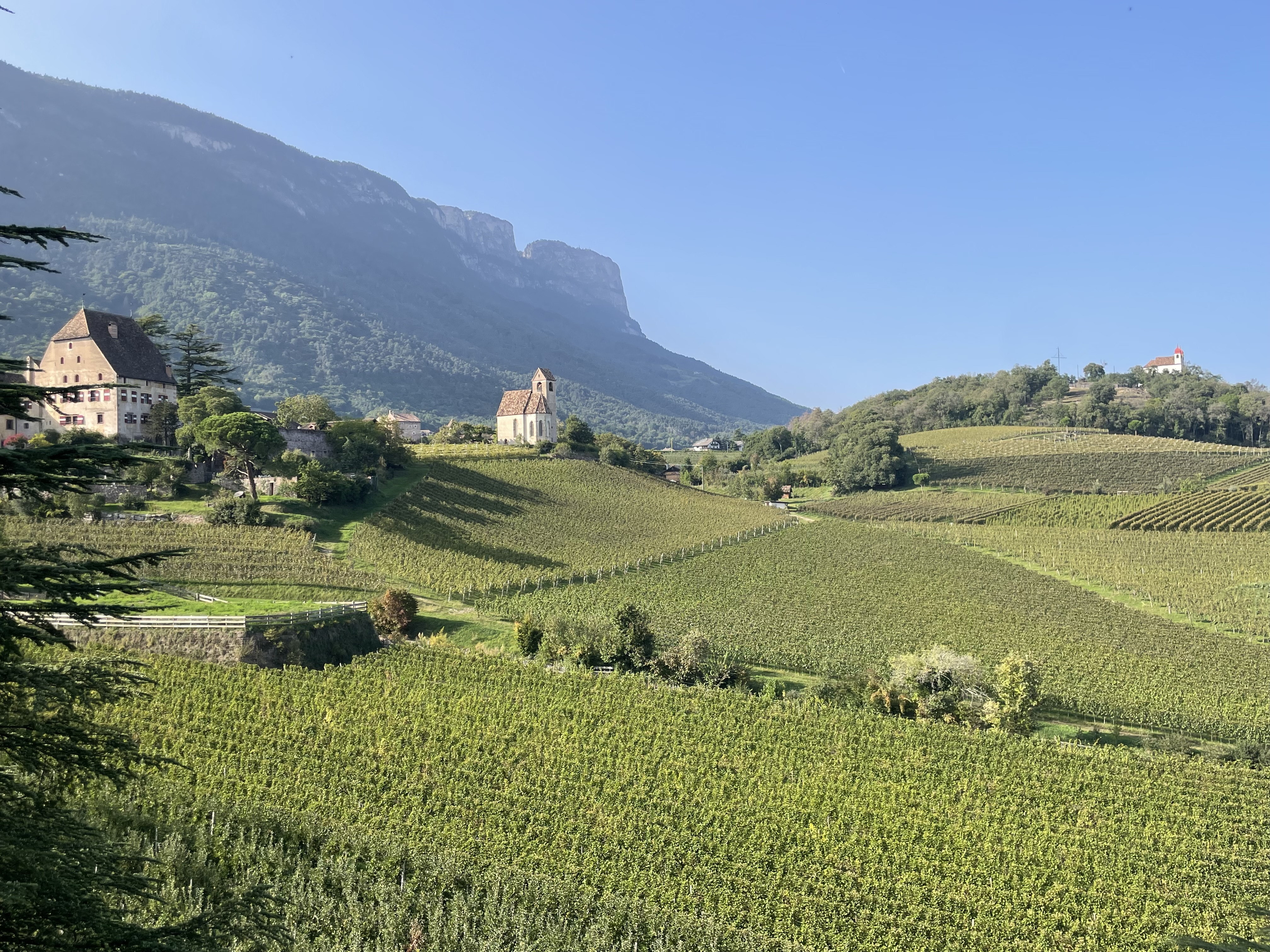 Vineyards and castle of Schloss Englar in South Tyrol